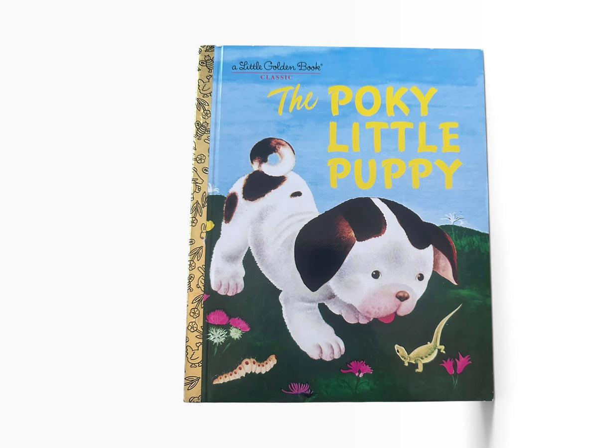 The Porky Little Puppy