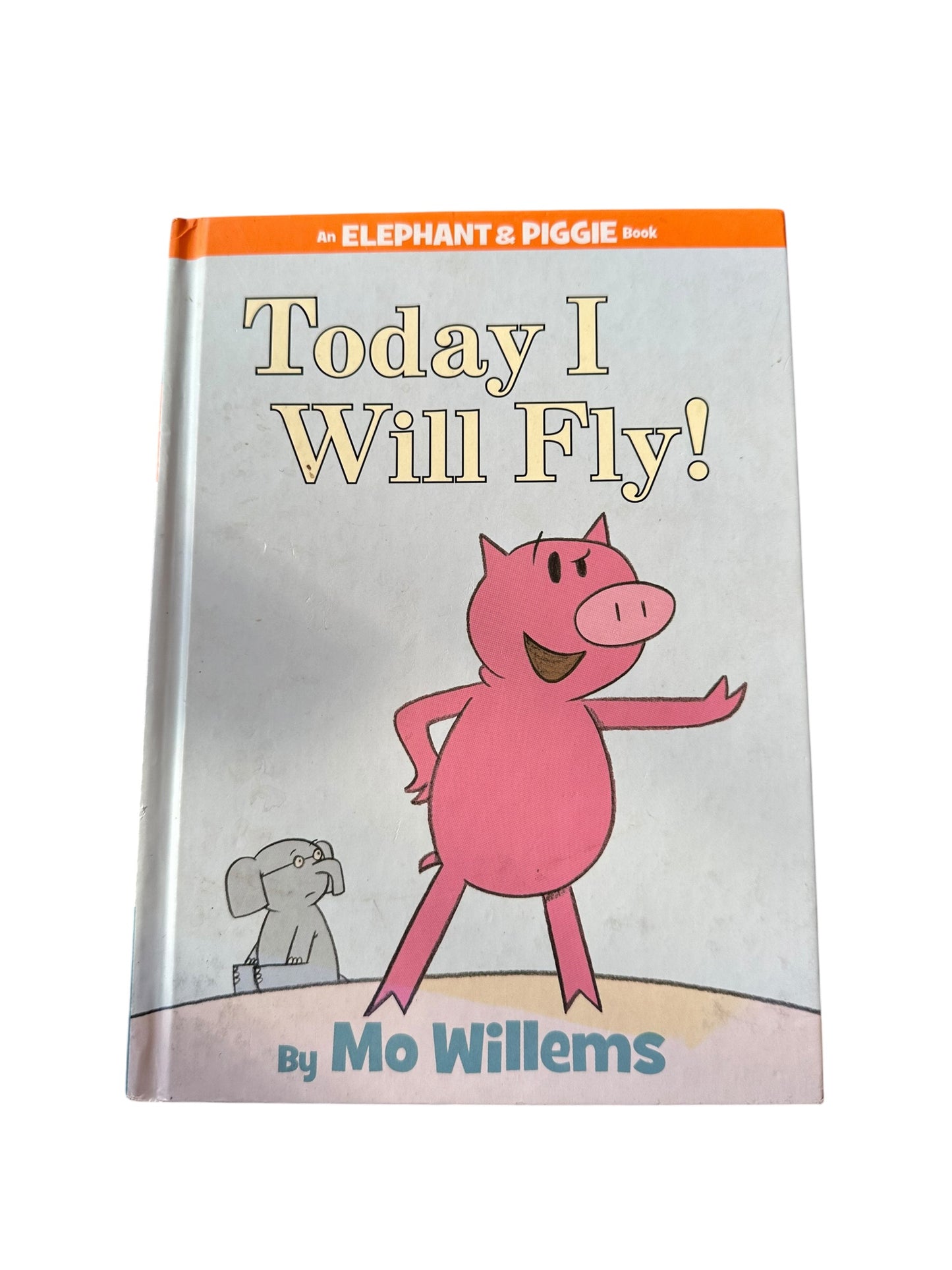Today I Will Fly!