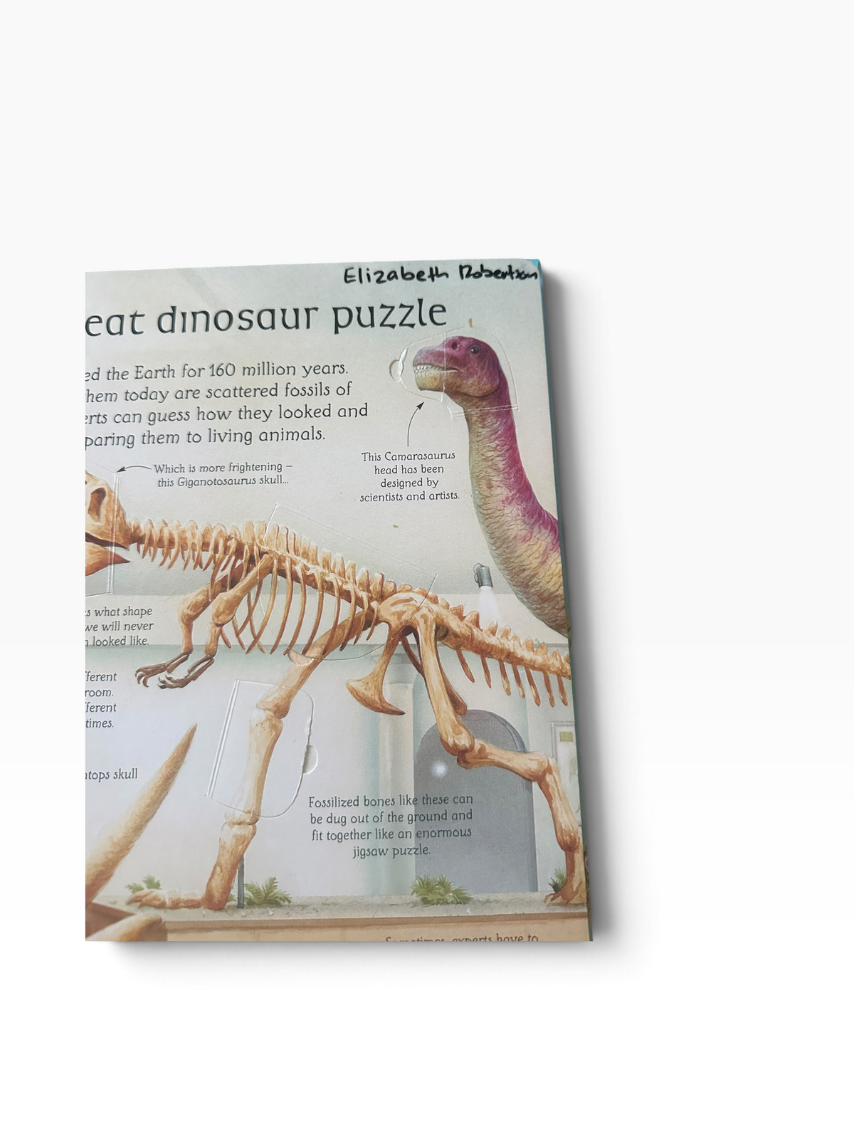 See Inside The World Of Dinosaurs - Lift the Flap